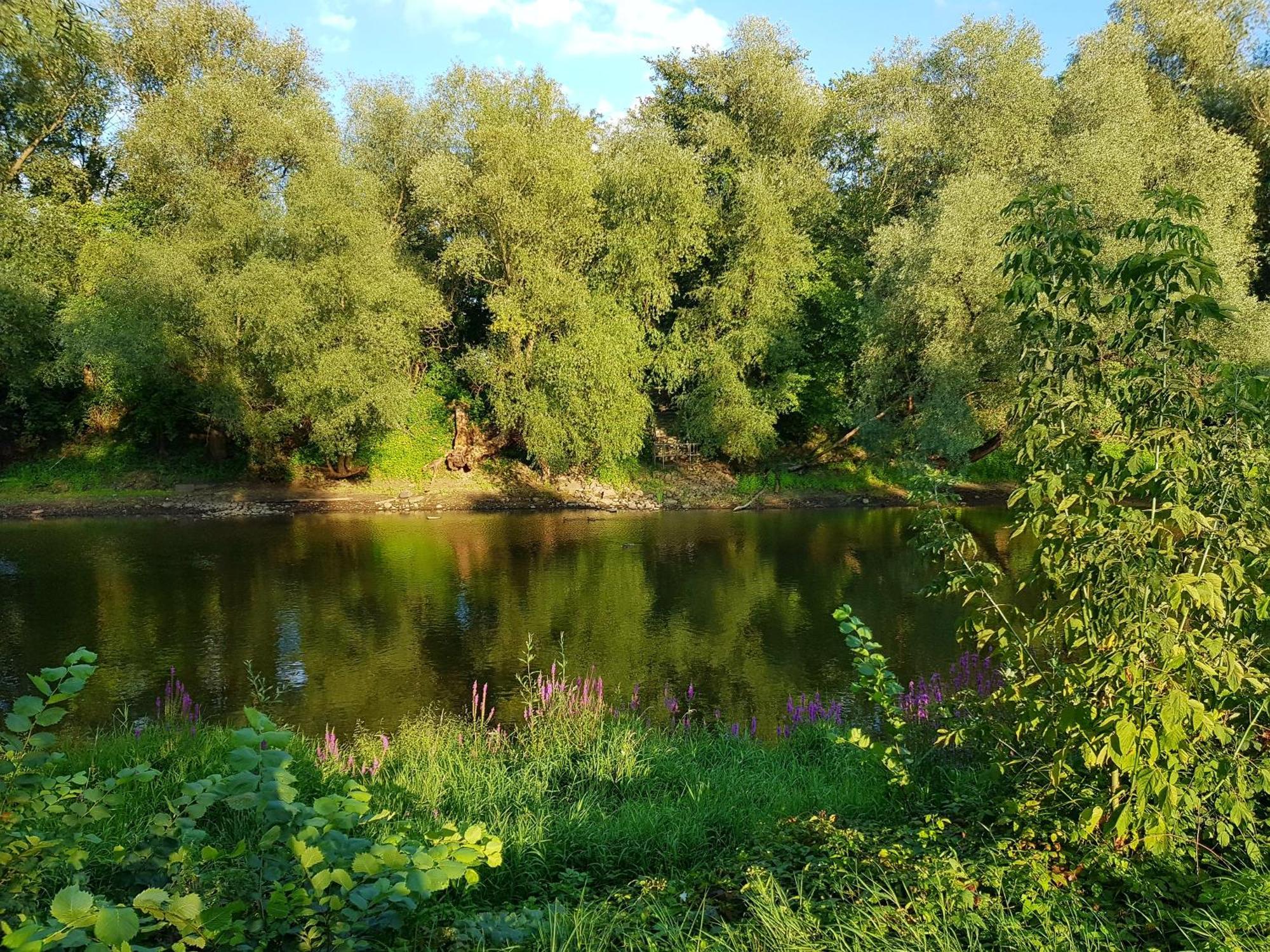 Viadrina Rooms & Apartments Frankfurt-Oder Am Park Im Zentrum Frankfurt  Dış mekan fotoğraf