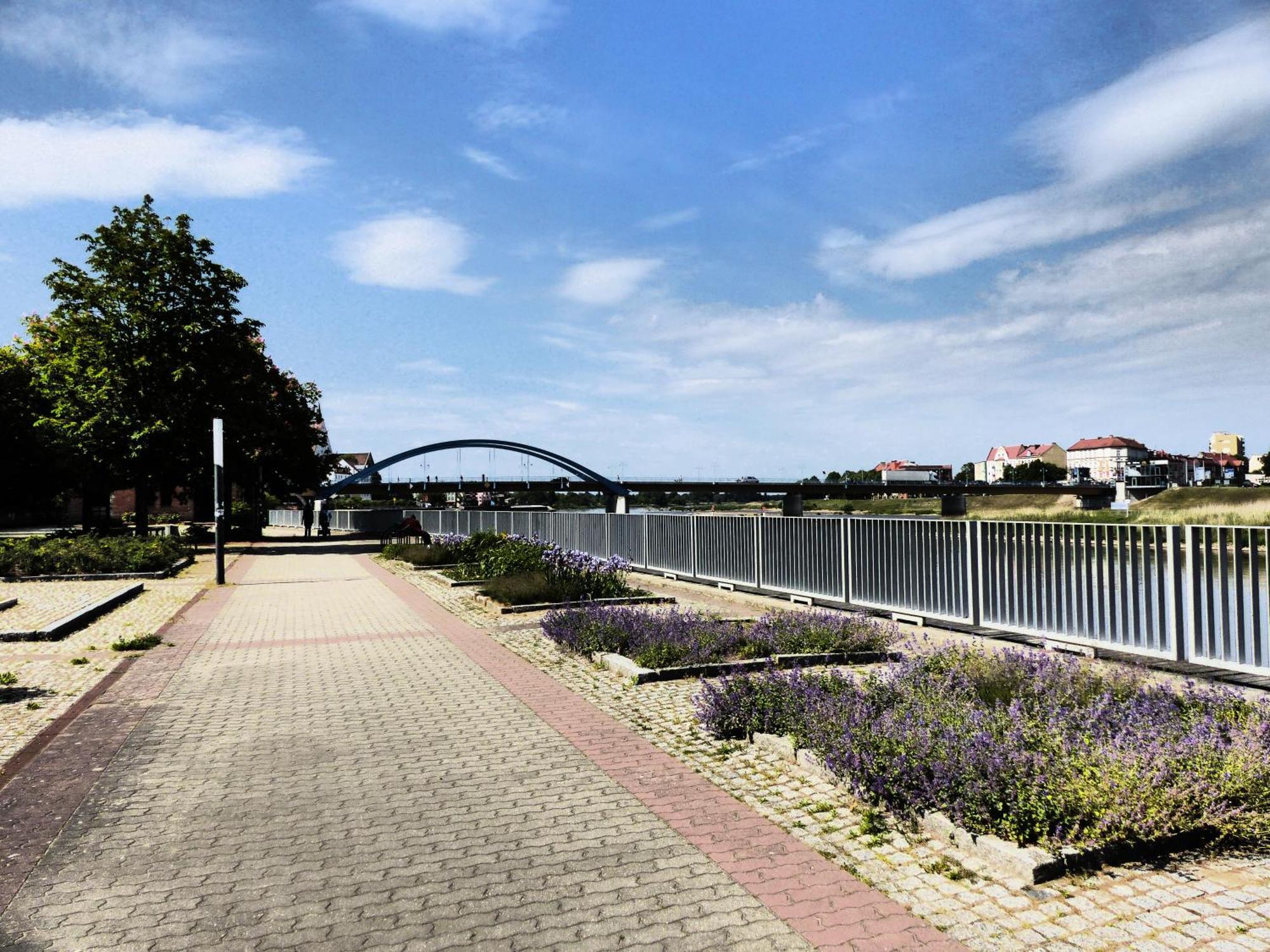 Viadrina Rooms & Apartments Frankfurt-Oder Am Park Im Zentrum Frankfurt  Dış mekan fotoğraf