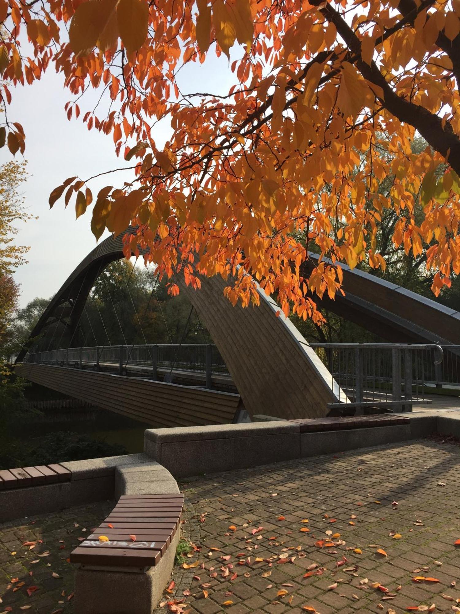 Viadrina Rooms & Apartments Frankfurt-Oder Am Park Im Zentrum Frankfurt  Dış mekan fotoğraf