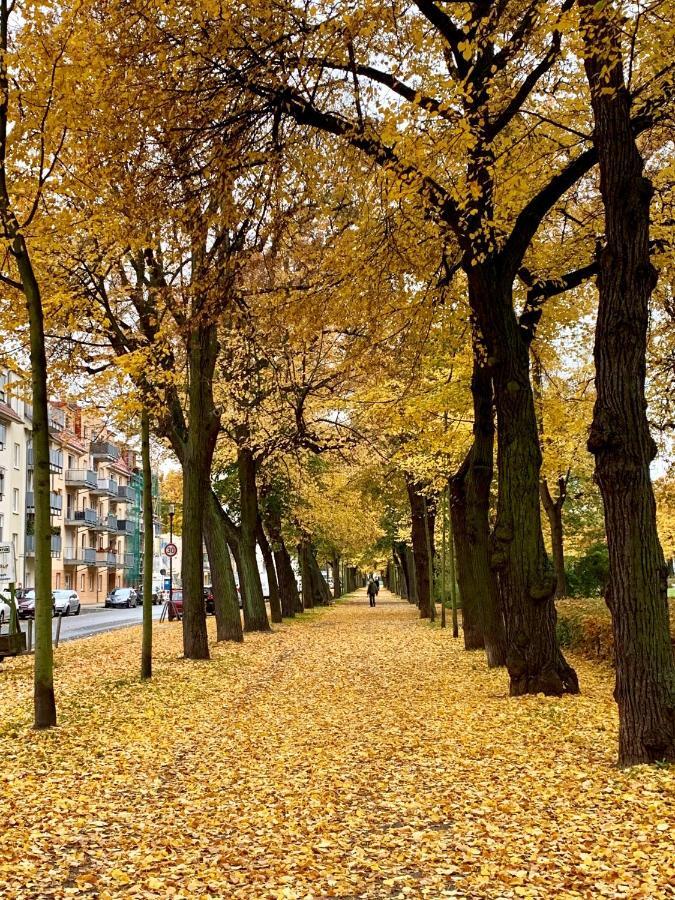 Viadrina Rooms & Apartments Frankfurt-Oder Am Park Im Zentrum Frankfurt  Dış mekan fotoğraf